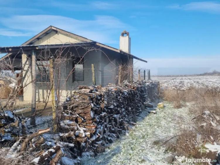 Teren cu livada Nuci- Oportunitate investitie- CioraniPh - 3