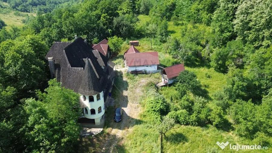 Castel de Vanzare IN MARAMURES - 12