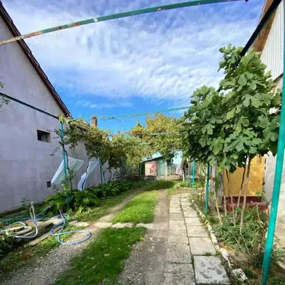 Vand casa in olari - 4