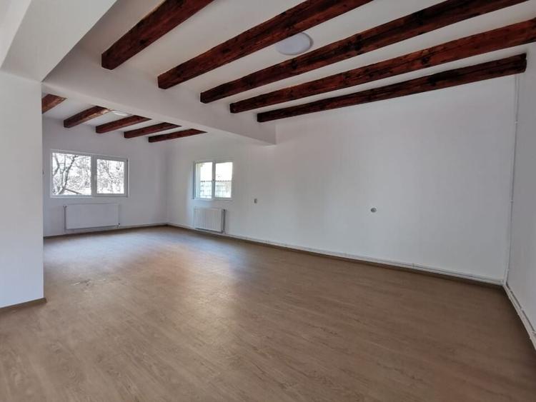 Dobroesti 5 Camere Vila La Curte - 13