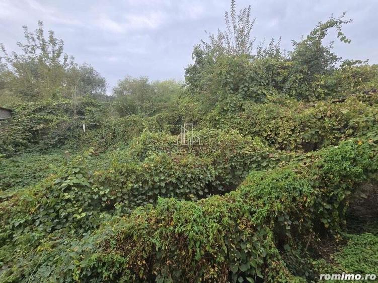 Imobil format din 2 cladiri, zona Stefan cel Mare, Sighisoara - 1