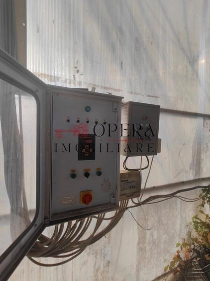 Teren intravilan 5000mp+Cladire265mp + Sera(2500mp), Rediu Aldei-Aroneanu - 2