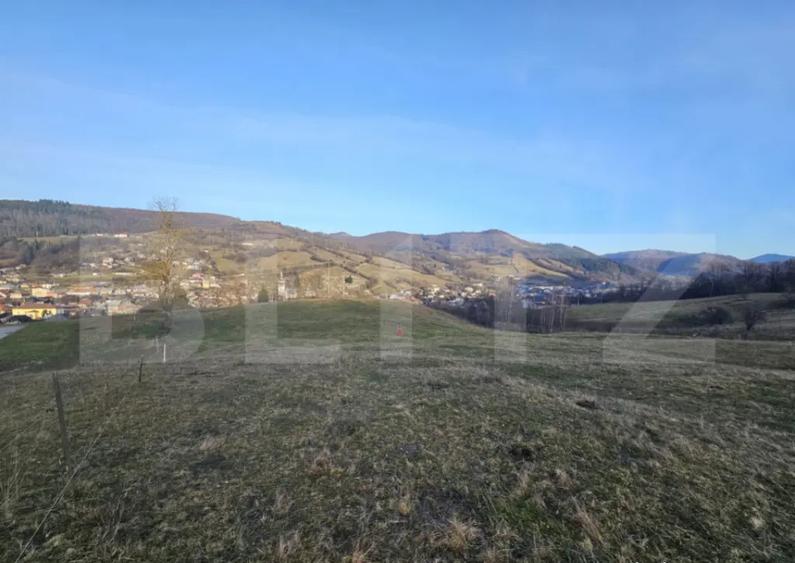 Teren intravilan de 16667 mp, Sosea de Centura, Abrud - 4