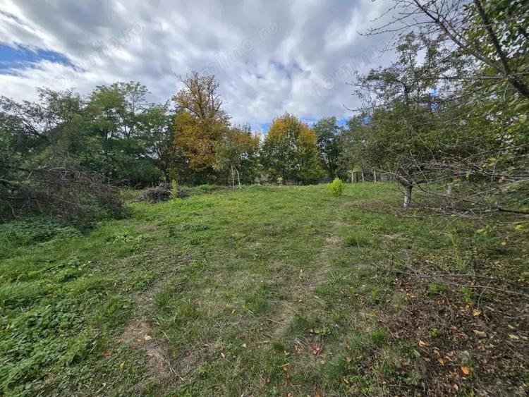 Casa Centrala Curtea de Arge?, Teren 2.211 mp - 8