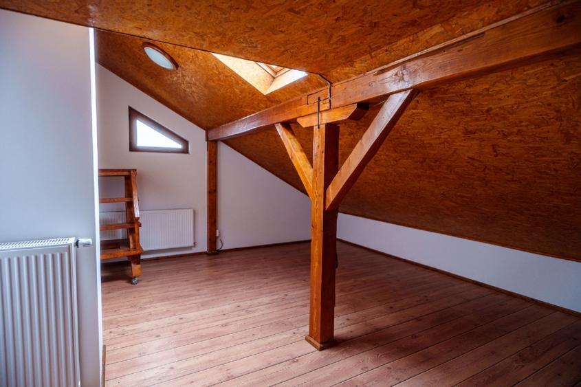 P.F. Vând vila multifuncțională, Jucu de Mijloc - 8