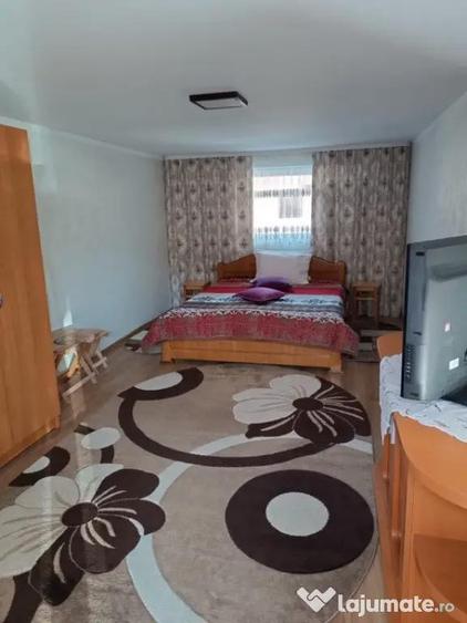 Casa individuala, teren 5200mp, oportunitate de investitie, - 7