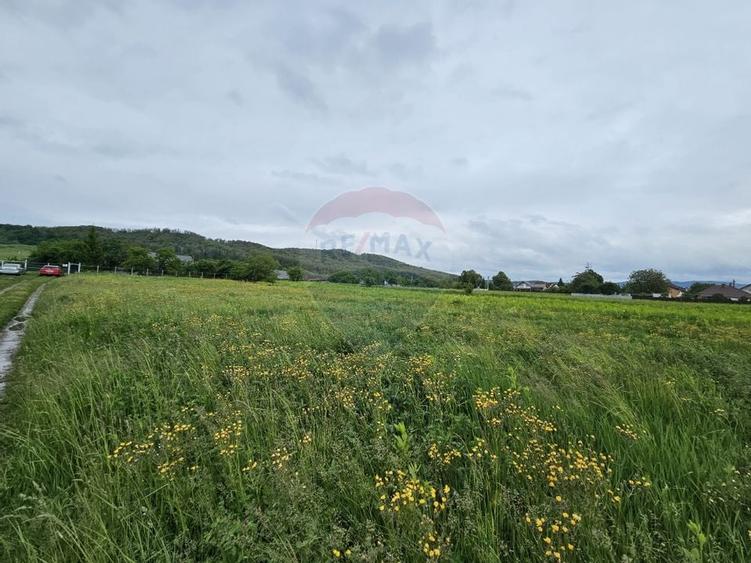 Teren 1,495mp Dobreni / Strada Parau Almas - 16