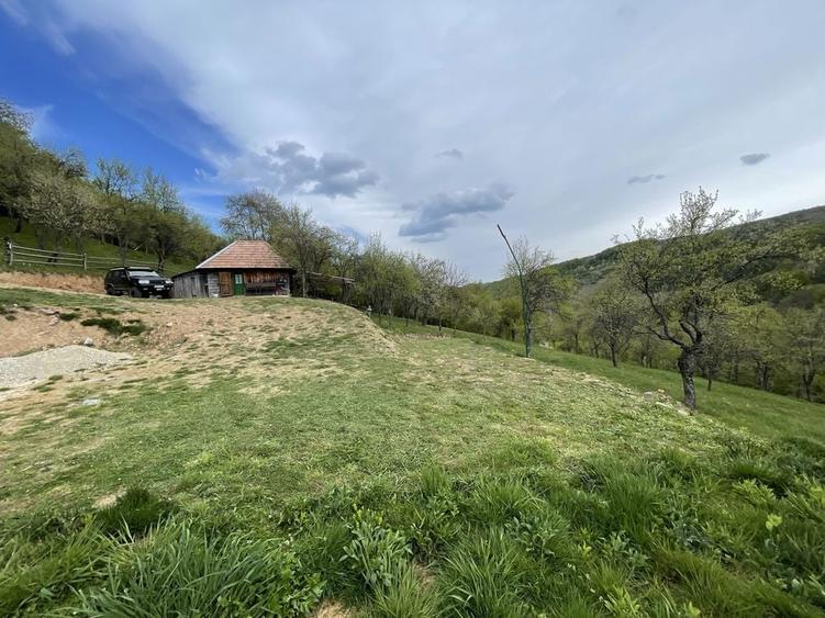 Casa ,livada si padure in com batrana jud hunedoara tinutul padurenilor - 6
