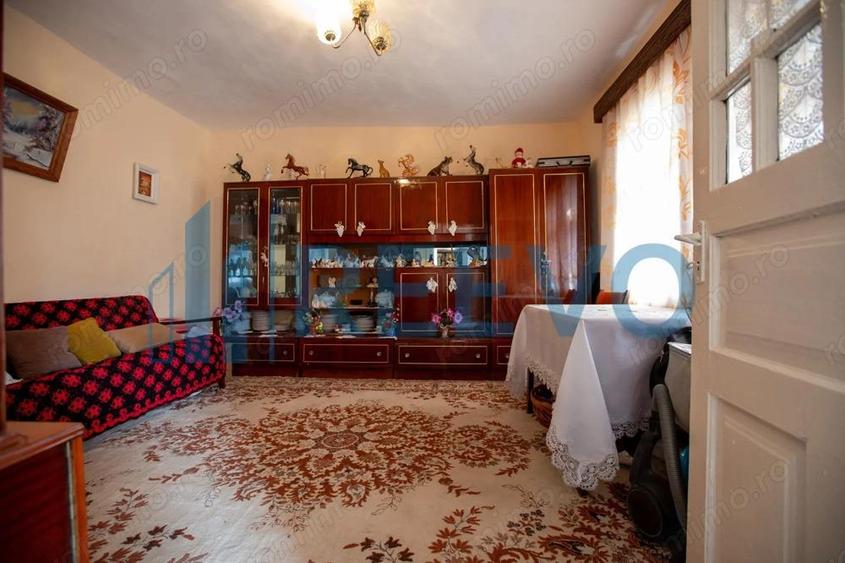 Casa si teren 3365mp Sascut - 10