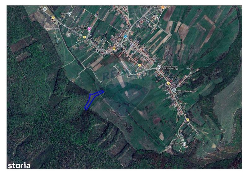 Teren intravilan, 9465 mp, Betfia, langa padure, de vanzare - 2