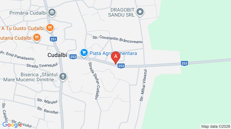 Vand casa Cudalbi - 1