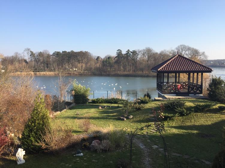 Mogosoaia,vila robusta cu vedere spectaculoasa catre lac,palat,parc,1750mp teren - 21