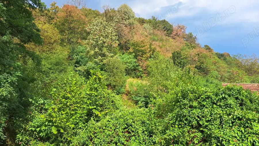 Casa de vanzare in satul Odvos (comuna Conop) - 14