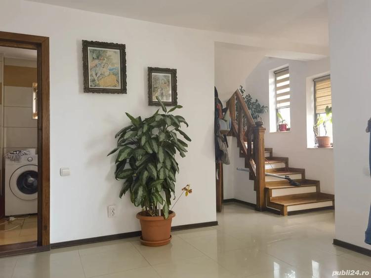 Casa Colibasi, Mioveni - 3