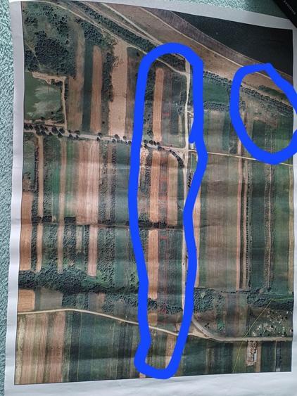 Vand teren in Tetchea, Bihor - 13562 m2 ! - 1