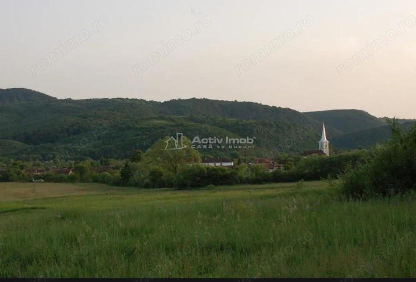 Casa de vanzare in Uileacul de Beius gospodarie traditionala, zona pitoreasca - 5