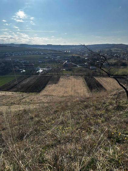 Teren extravilan 9000 mp Corusu, Baciu, drum, ideal investitie - 7