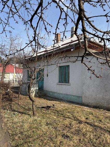 Vand casa batraneasca str Crinilor 36 - 7