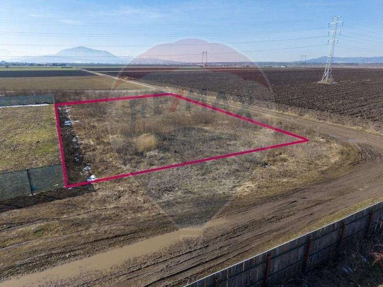 Teren intravilan de vanzare Hălchiu - 9