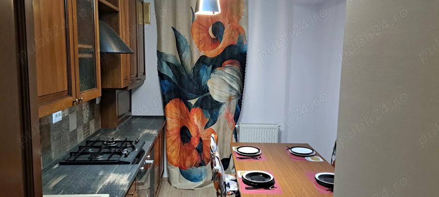 Inchiriere Apartament 2 Camere Craiova - 4