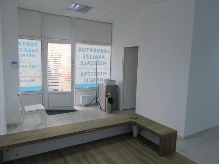 Inchiriere Spatiu Comercial Teiul Doamnei - 21