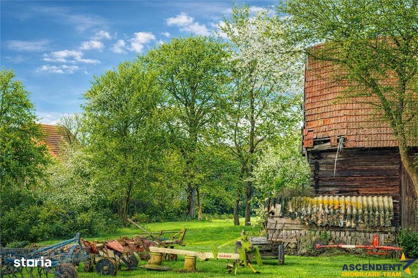 FILM! Oaza ta de liniste pe 4.900mp teren intravilan, Tufalau, Covasna - 2