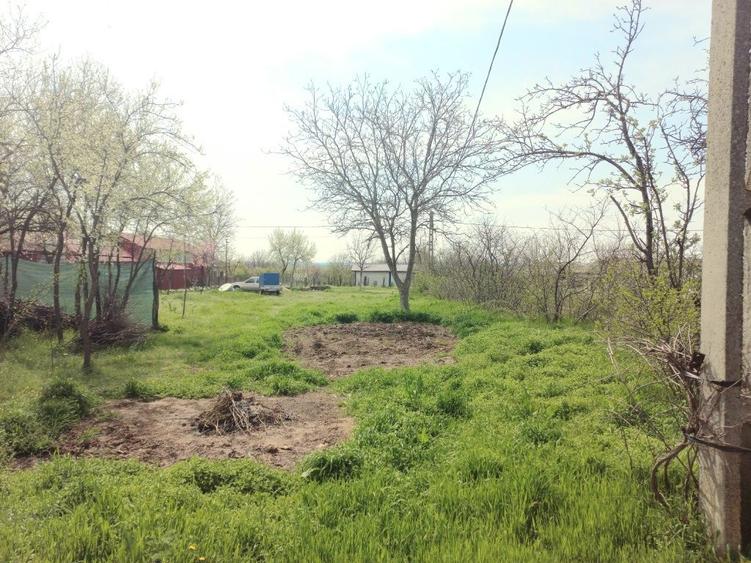 Teren 1000MP (sau 500mp) Radu Negru Calarasi (Gambeta) - 7