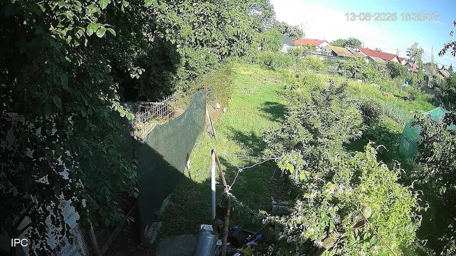 Casa curte si cca 5000mp la 50km de Bucuresti - 4