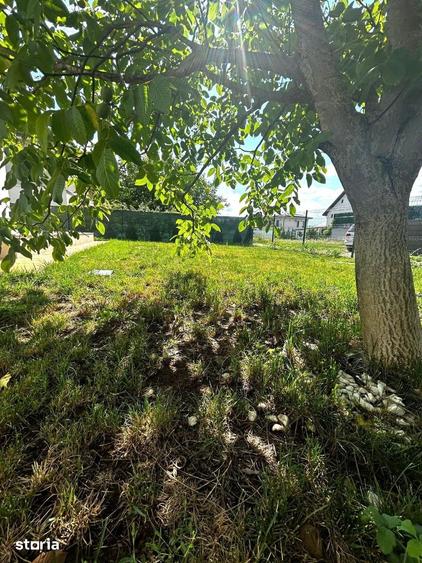 Casă cu 5 camere cu Teren 500 Mp în Corbeanca