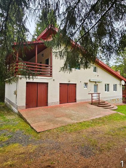 Casa vacanta Dealu Negru Cala?ele Padure - 1