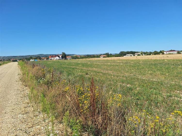 Reco, Teren intravilan Osorhei - 2