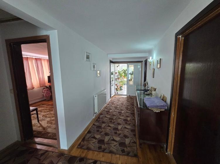 Magurele/Darasti-Ilfov/Vila individula cu crama,garaj,foisor,livada si solar - 14