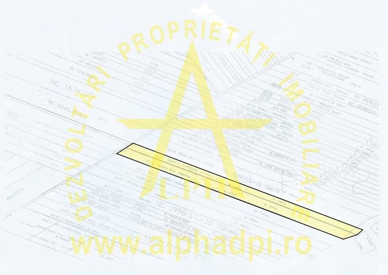 Teren in suprafata de 16870 mp, comuna Ganeasa ( sat Sindrilita) - 6