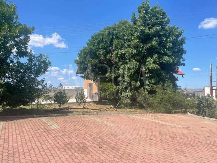 Teren intravilan industrial de vanzare in Episcopia Bihor Oradea, Oradea - 3