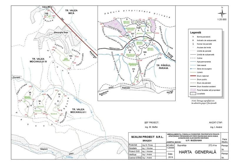 Bacau,padure veche bine supravegheata! - 1