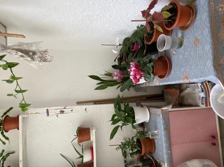 Zona Plava? II, apartament 2 camere, decomandat, etaj 1, 53 mp utili, pre? 94.000 euro, negociabil - 6