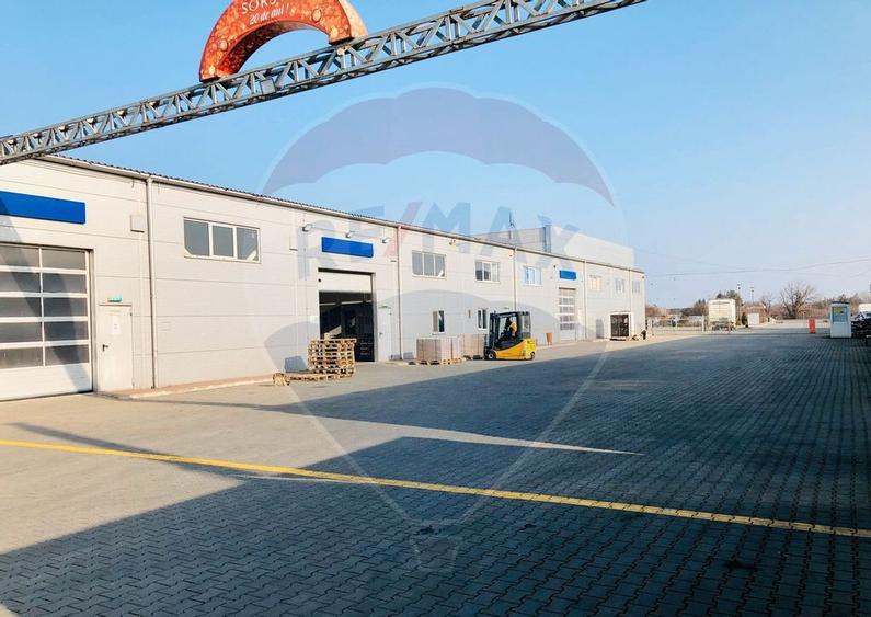 Hala 1000 mp la DN E85 Focsani - 5