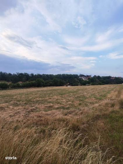 COMISION 0%!!! Teren extravilan, 7200 mp, in BAI SARATE TURDA - 4