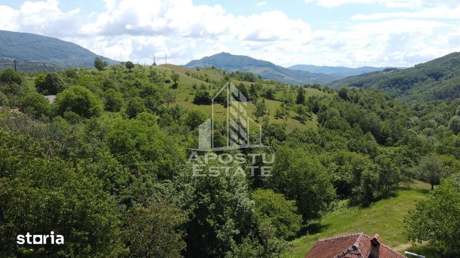 Casa la munte, la cheie, priveliste panoramica, in sat Ret, Hunedoara - 6
