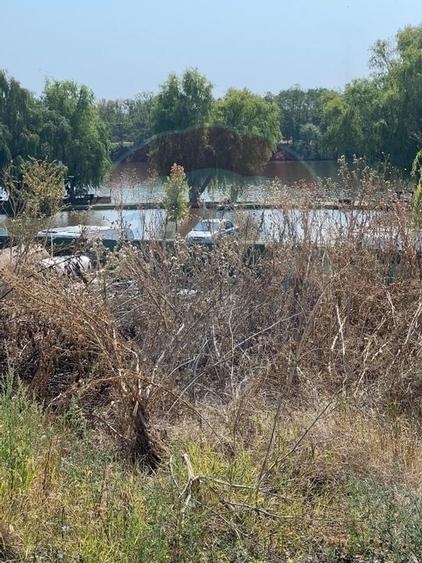 Teren de vanzare / 2,500 mp pe Malul Lacului Tancabesti /Ilfov - 10