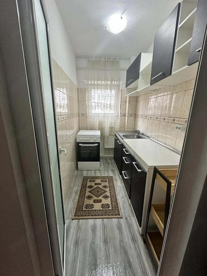 Garsoniera de inchiriat - Radu Negru - 2