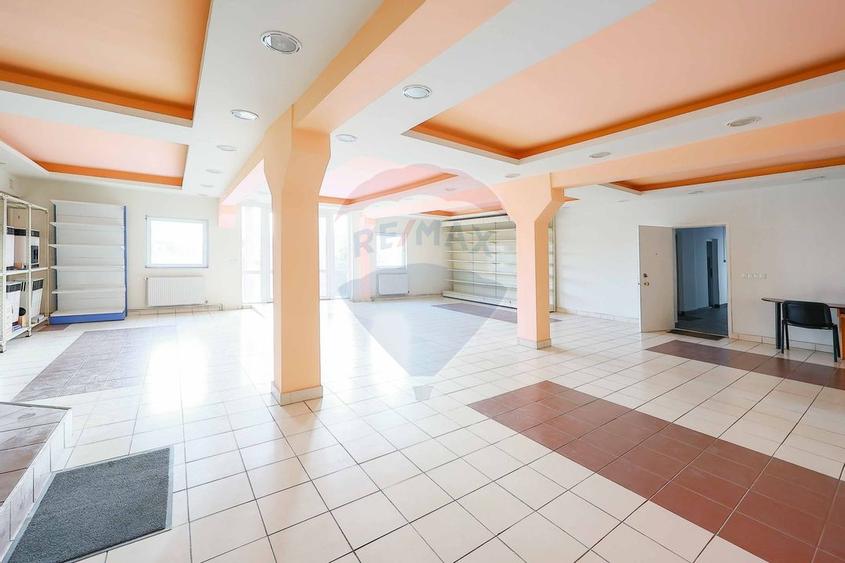 Spatiu industrial 1000 mp de inchiriat in zona Vest - 6