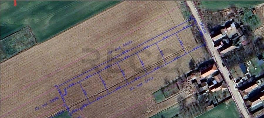 RECO parcele teren Sannicolaul Roman - 1