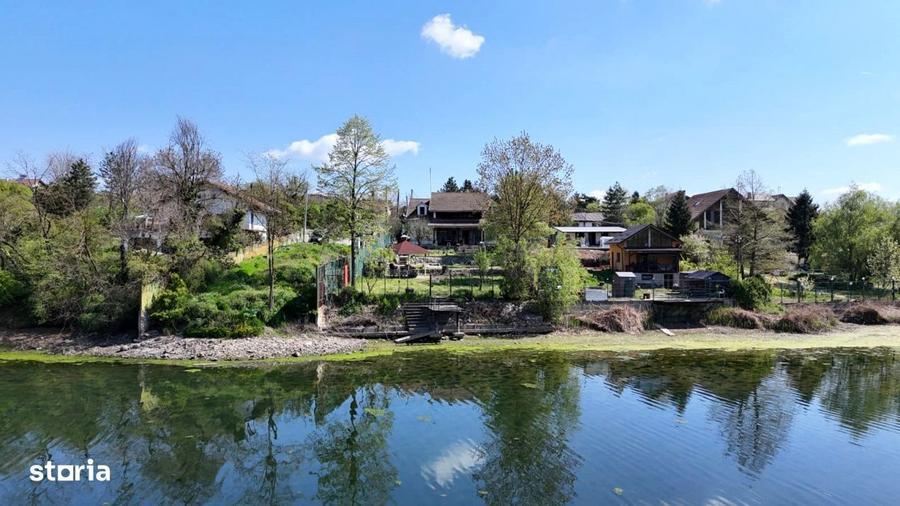 Vila pe lac cu vedere la padure - Pasarea - Branesti - 19
