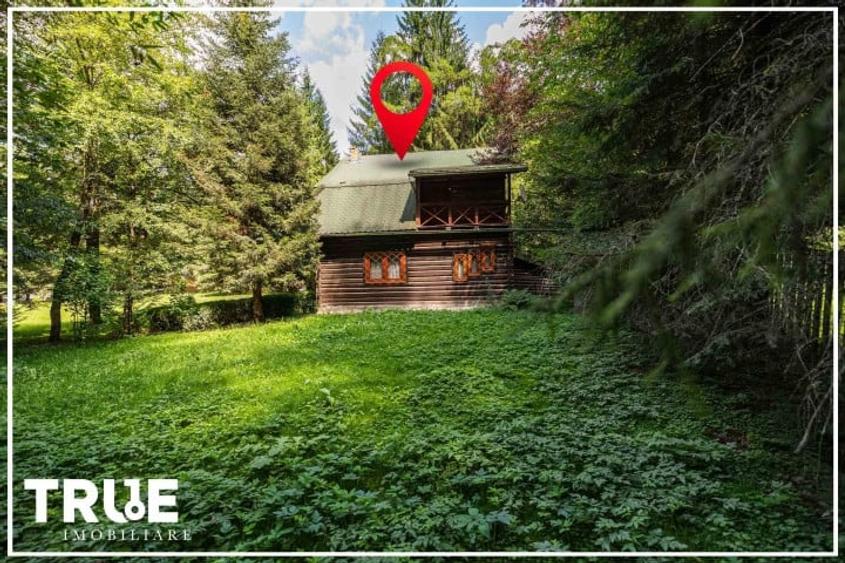 Cabană 160m? utili, teren 2253m?, Salard, Mureș! - 20