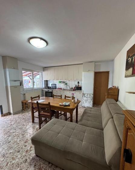 Vand vila in Roman zona buna - 10