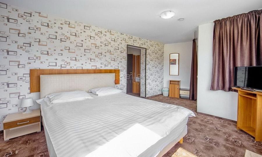 Pensiune Turistica Montana - 27