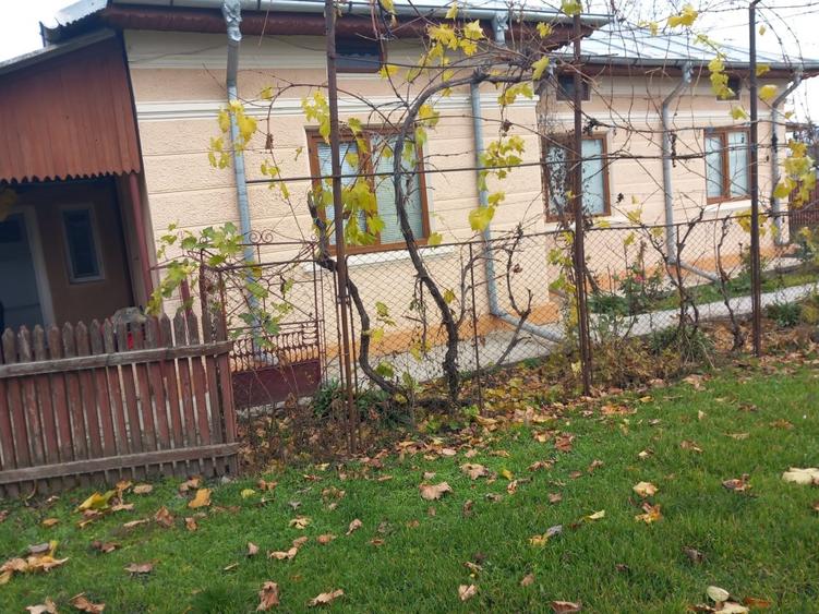 Casă de vânzare - jud. Buzău, Sat Lanurile, com. Ziduri - 7