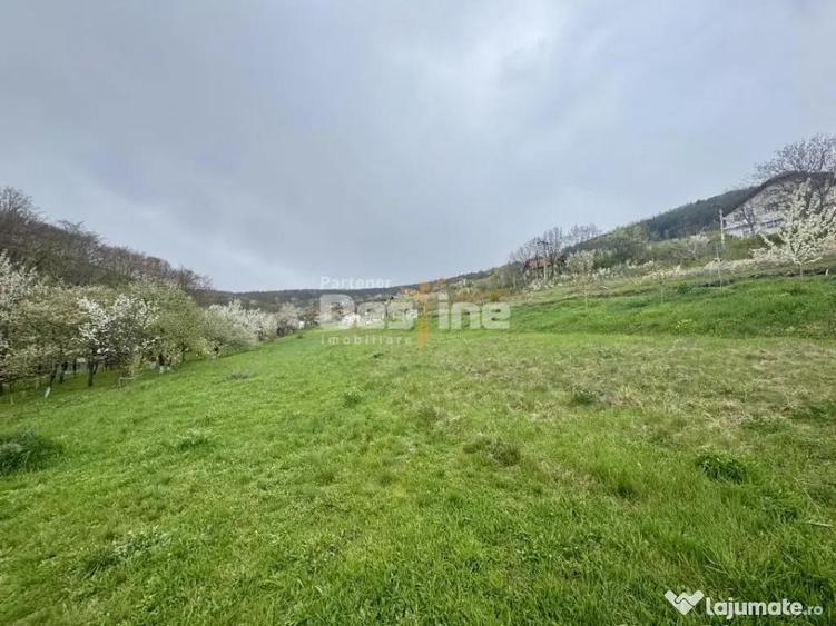 Teren intravilan Deva- Roci - 2