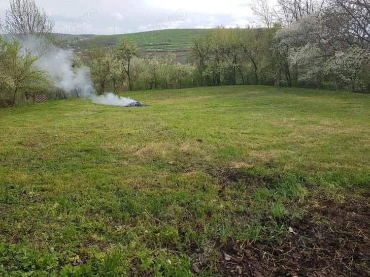 Casa de vanzare cu 3.000 mp teren OCNI?A, jud. B-N - 3